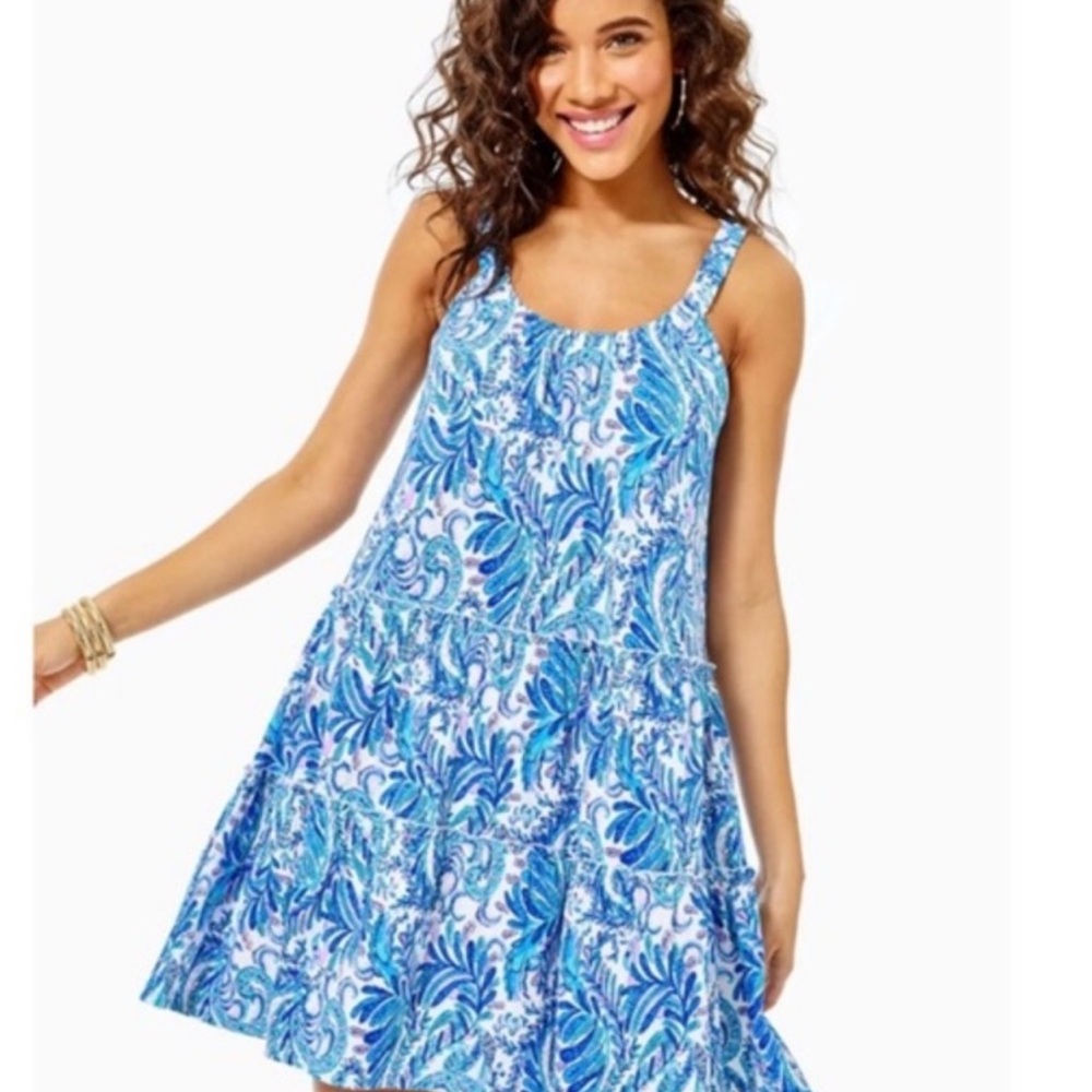 Lilly Pulitzer Loro Swing Dress in Bird is a Word S